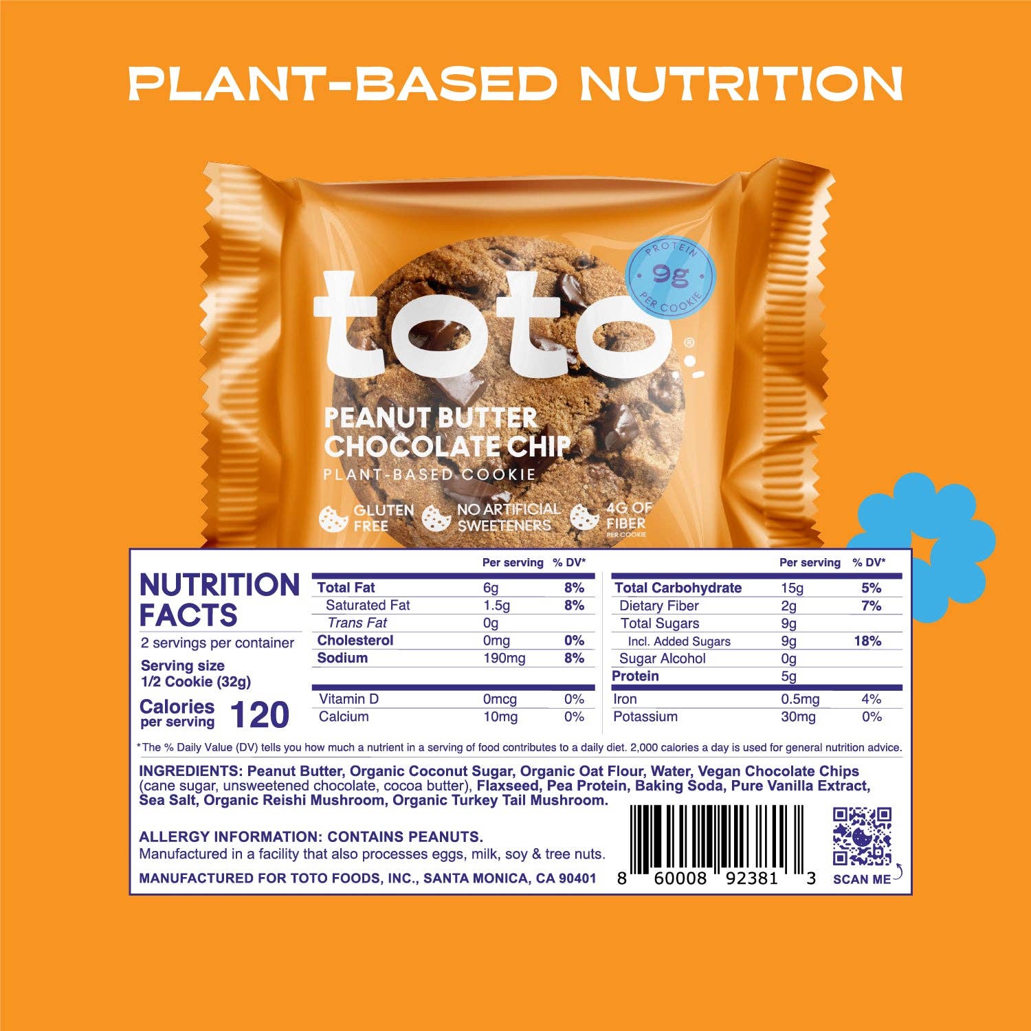 Toto - Wholesale Cookie - Peanut Butter Chocolate Chip (10 pack)5
