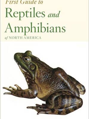 Peterson First Guide to Reptiles and Amphibians: Robert for wholesale by HarperCollins