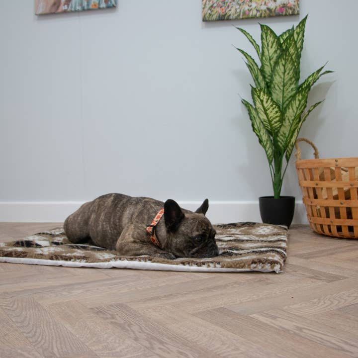 Ancol Pet Products Ltd – wholesale Pet bed – Cat/dog – Aztec Self Heating Pad for pets S or M 2