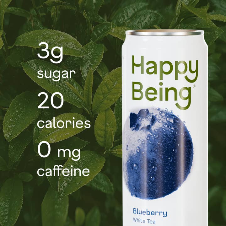 Happy Being - Wholesale Iced Tea - 16 pack Still Variety 3