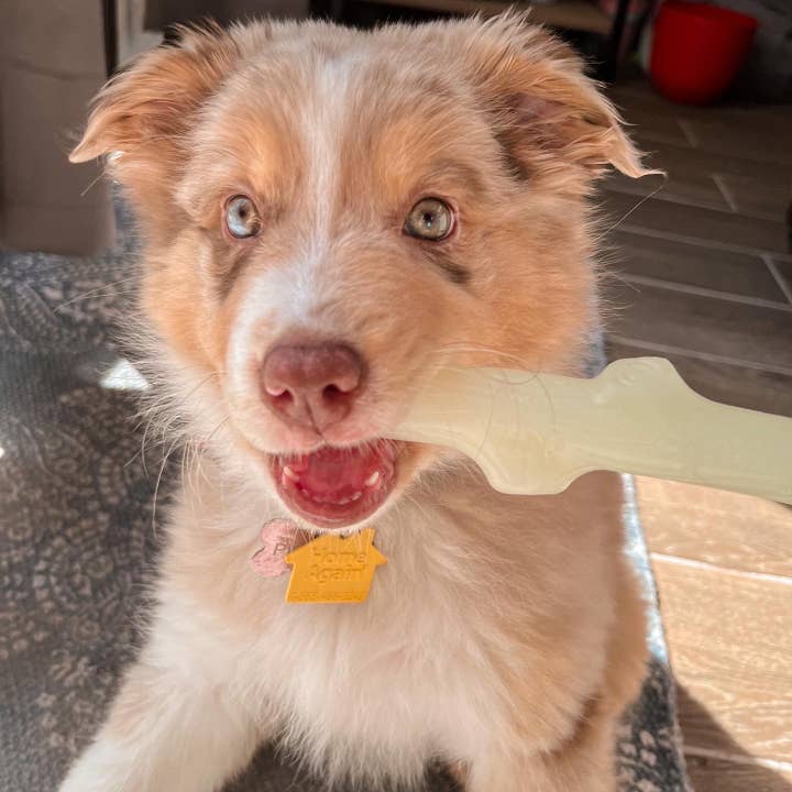 Spunky Pup - Wholesale Pet fetch ball – Dog - Fetch & Glow Stick - Made in the USA3