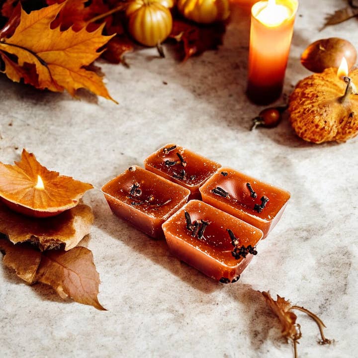 Gia Roma - Wholesale Wax Melt - Fall Wax Melts Unique XL Seasonal Scented Home Fragrances11