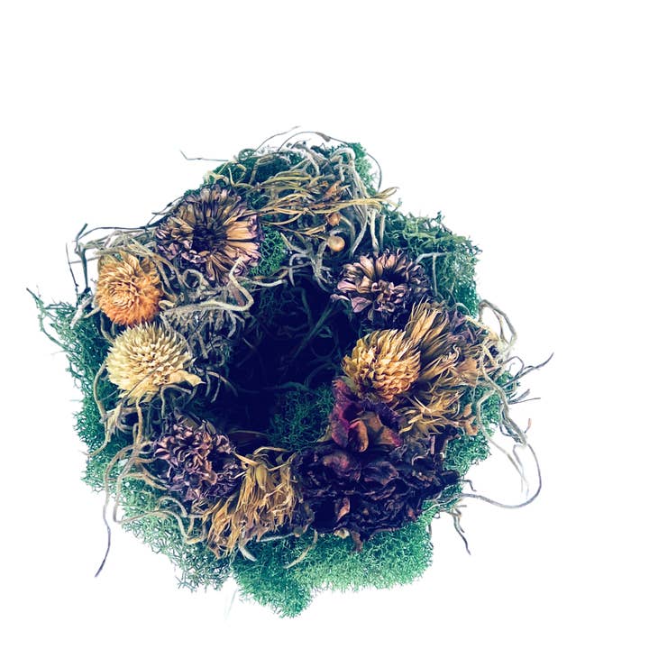 Sow the Magic - Wholesale Spiritual Stone/Crystal - Garden Nest Crystal Altar With Dried Flowers