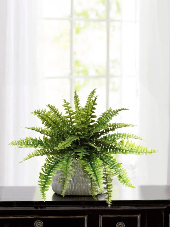 Felce in finta seta resistente ai raggi UV bostoniana in miniatura 28 per la vendita all'ingrosso da parte di Larksilk