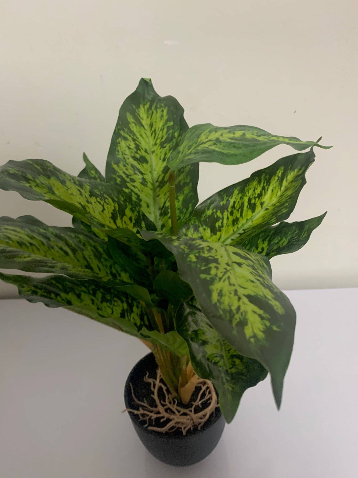 UniqueMartandHome - Wholesale Artificial Plant - Fake Dieffenbachia in Decor Pot0