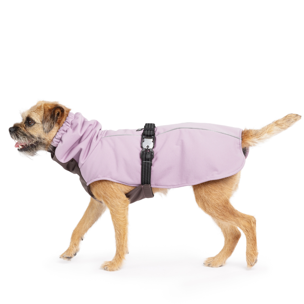 Gold Paw Series - Wholesale Pet Coat - Dog - WinterPaw1