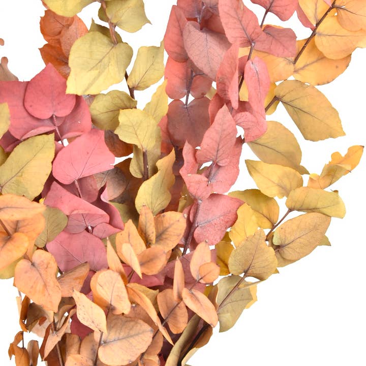 Dutch Flower Studio - Wholesale Dried/Pressed Flowers - Preserved - Eucalyptus autumn mix - 50 cm3