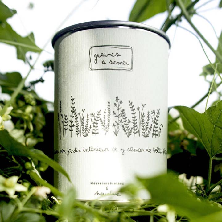 ”Indoor Garden” utsäde kit tillverkad i Frankrike collab av för wholesale av MauvaisesGraines