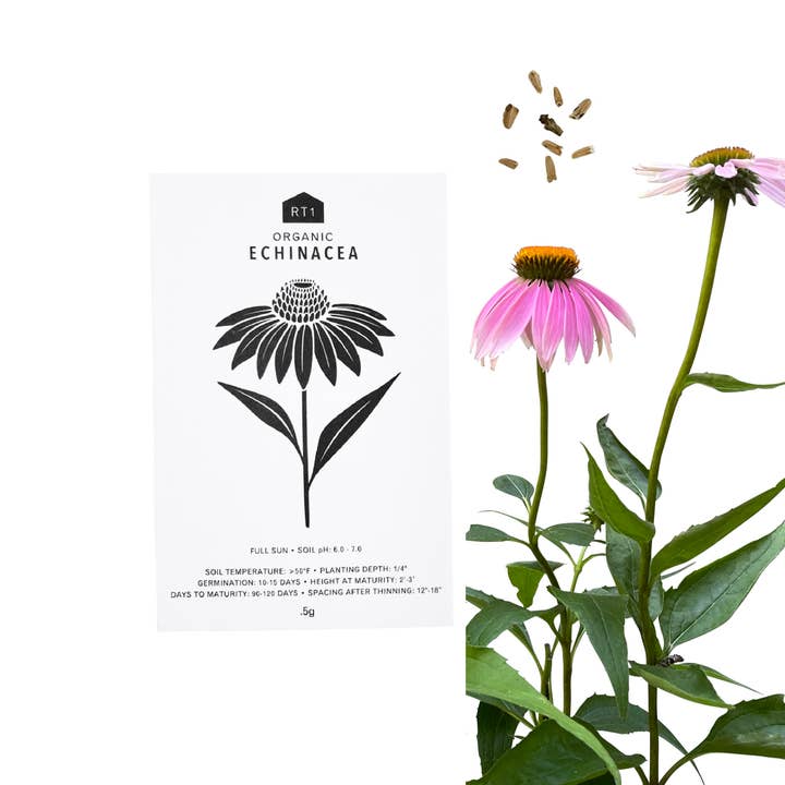 RT1home - Wholesale Plant Seeds - MEDICINAL HERB SEEDS - PACK OF 5