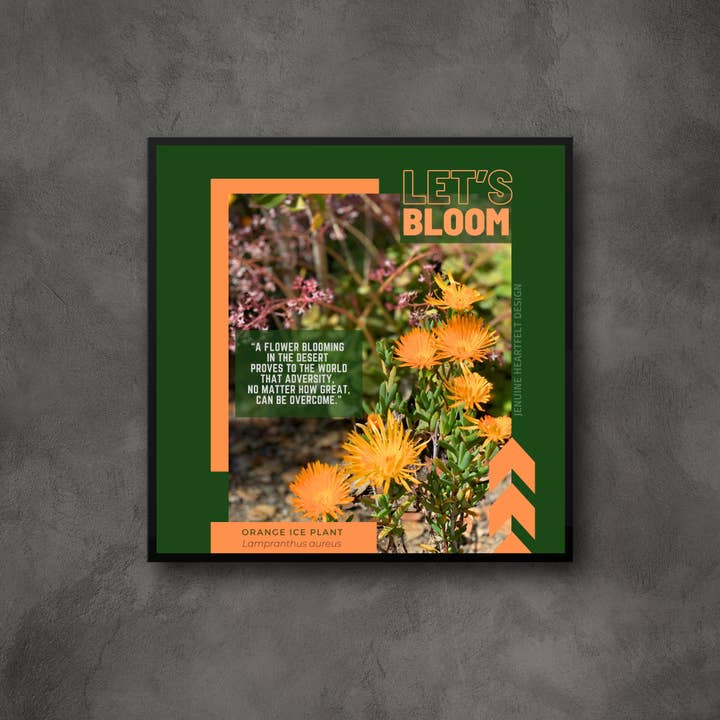 Imprimé de plantes à glace orange 5x5 dans un cadre noir de base pour la vente par Jenuine Heartfelt Design