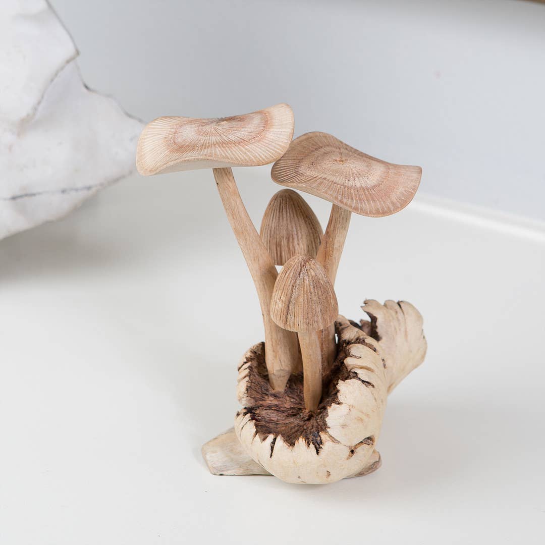 Garden Age Supply - Vente Figurine décorative - Figurine en bois de parasites sculptée à la main - Champignons1