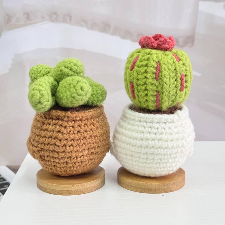 Anh2 LTD - Wholesale Decorative Tabletop Object - Crochet Succulent Cactus Plant, Life Would Succ Without You4