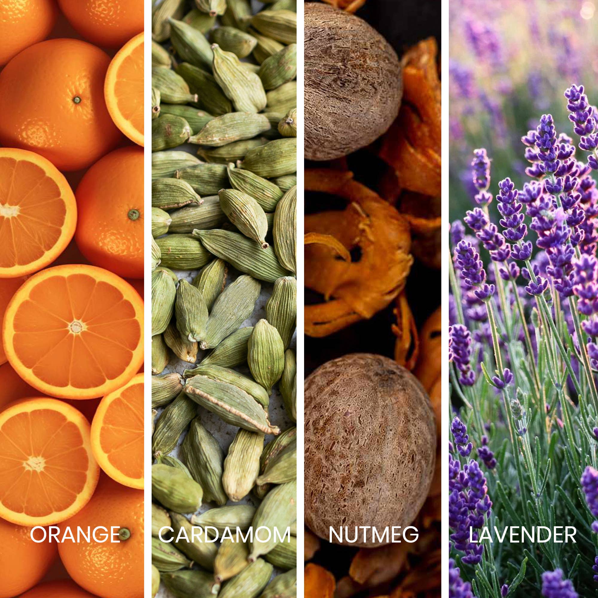 SWISS ARABIAN - Wholesale Perfume/Eau de Toilette - Sapil Bound Eau de Toilette Luxury Scent for Men 100ml2