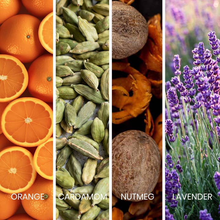 SWISS ARABIAN - Wholesale Perfume/Eau de Toilette - Sapil Bound Eau de Toilette Luxury Scent for Men 100ml2