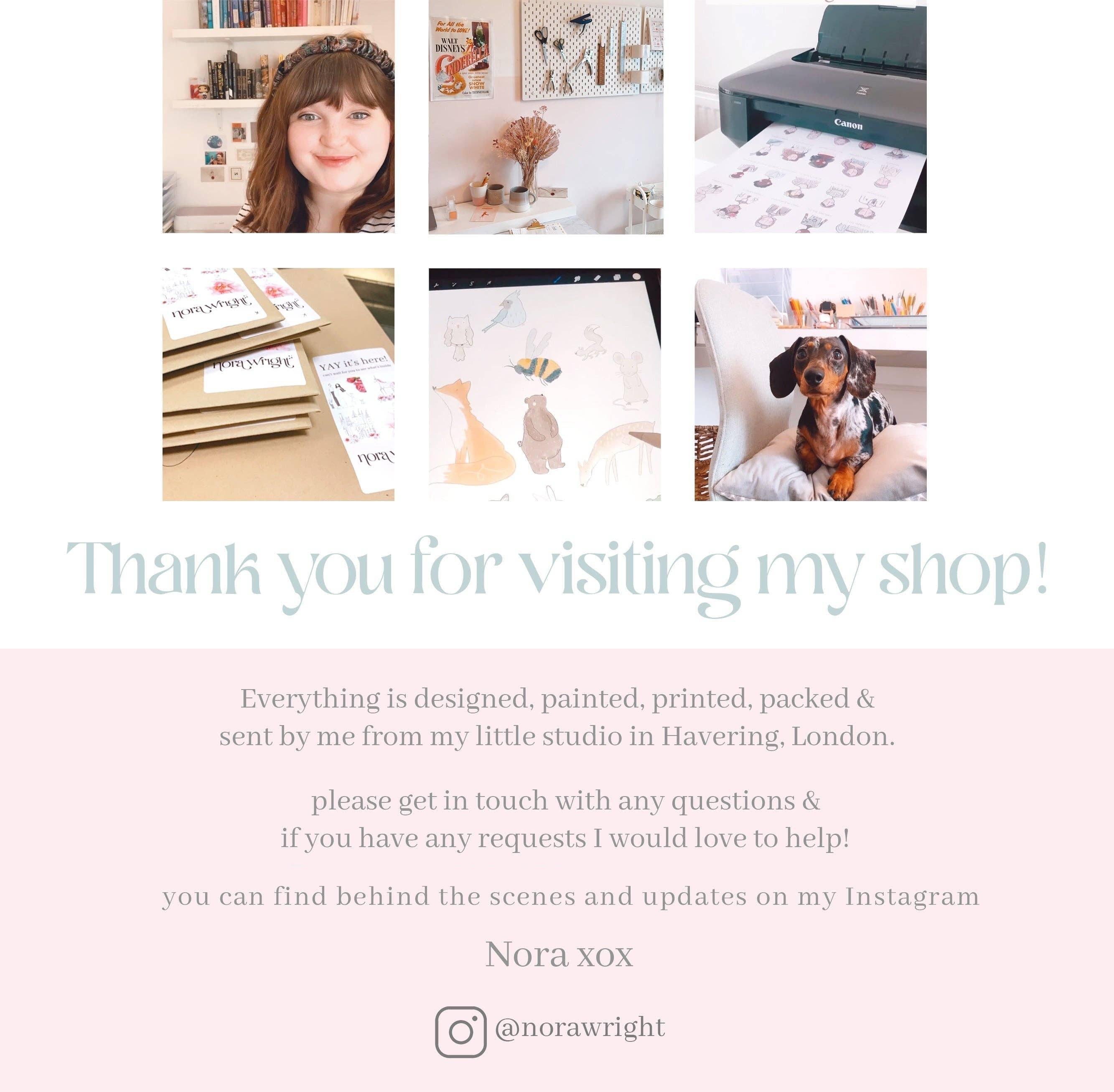 Nora Wright – wholesale Tooth fairy pillow – Child – Tooth Fairy magical Delivery Tag3