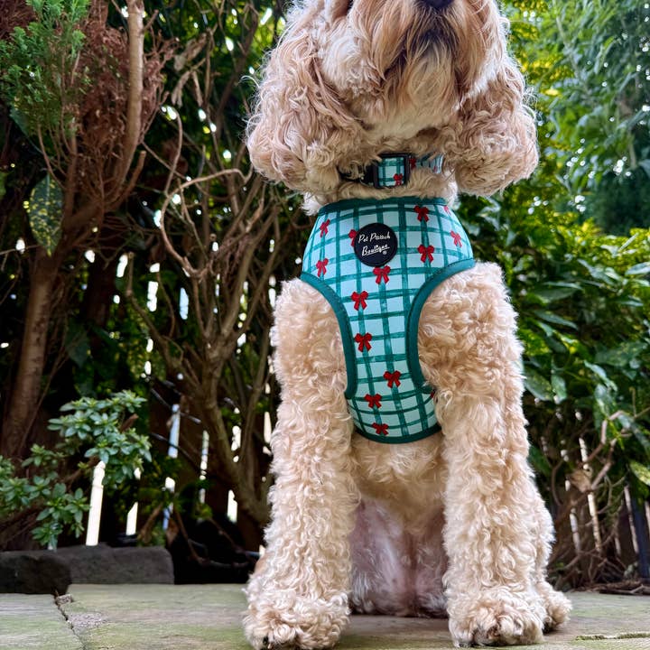 Pet Pooch Boutique - Wholesale Pet harness – Dog - Festive Plaid Christmas 2025 Dog Harness - XS - L - Green3