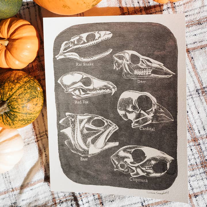 Skull Collection Art Print for wholesale by Linnea Campbell Studio