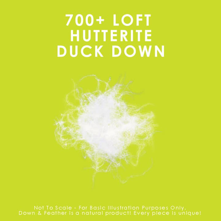 Canadian Down & Feather Company - Wholesale Duvet Cover - 700 Loft Canadian Hutterite White Down Duvet3