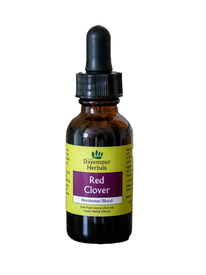 Red Clover for wholesale by Dayempur Herbals