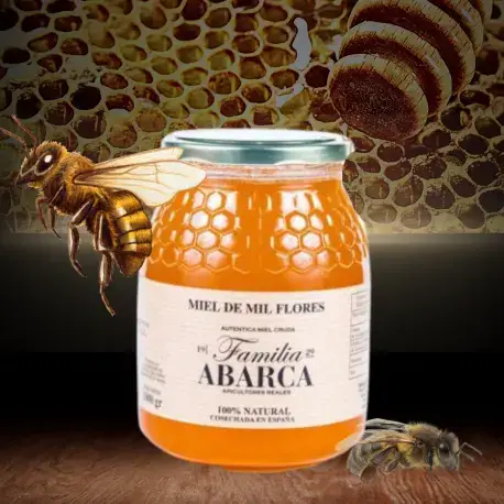 Mieles Familia Abarca - Wholesale Honey - Raw Thousand Flowers Honey 1,000g0