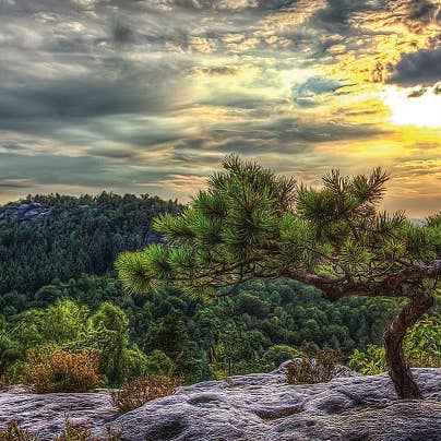 brancard voor wholesale door Bönninghoff