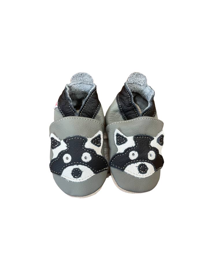 Racoon on grey per la vendita all'ingrosso da parte di Oceania