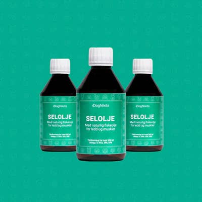 DogNikita - Wholesale Pet Supplement - Dog - DogNikita - Seal oil 300 ml1