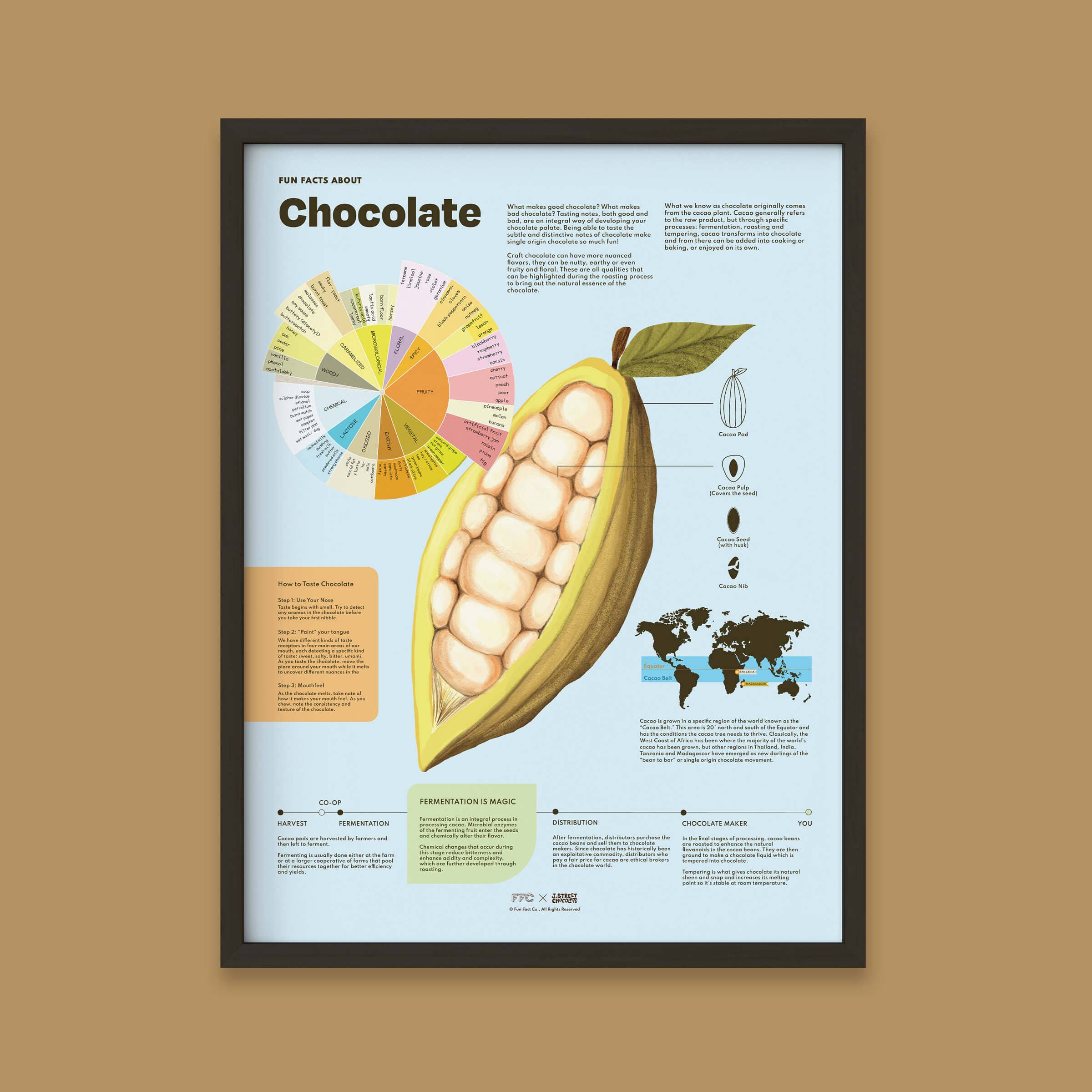 Fun Fact Co. - Wholesale Art Print - Chocolate Fun Facts Print6