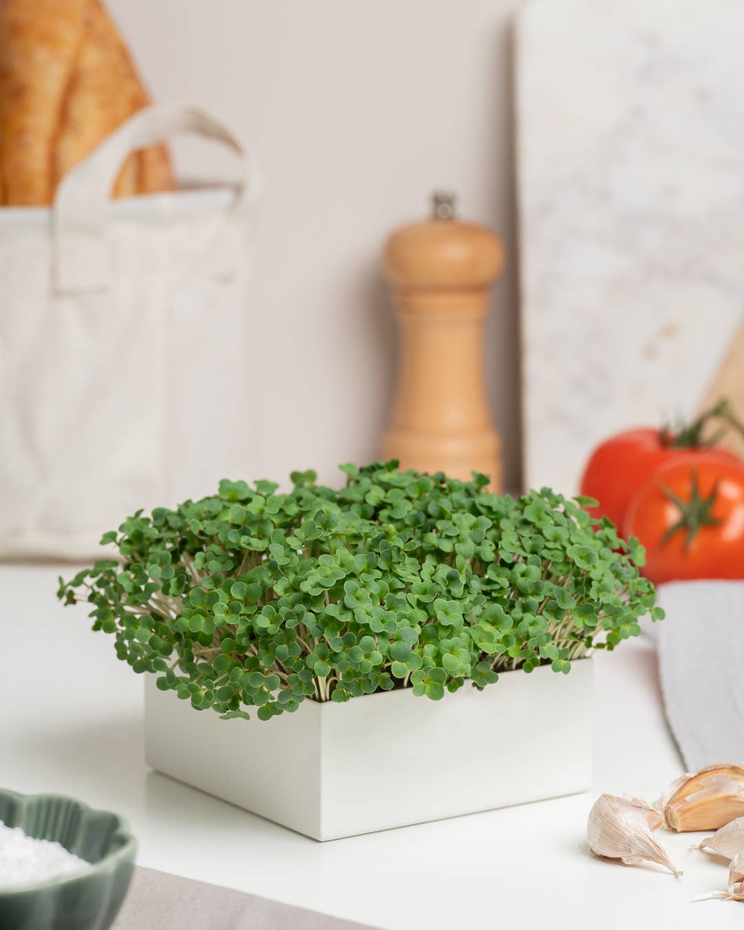 Life in a bag - Wholesale Plant Seeds - Microgreens Uno Watercress1