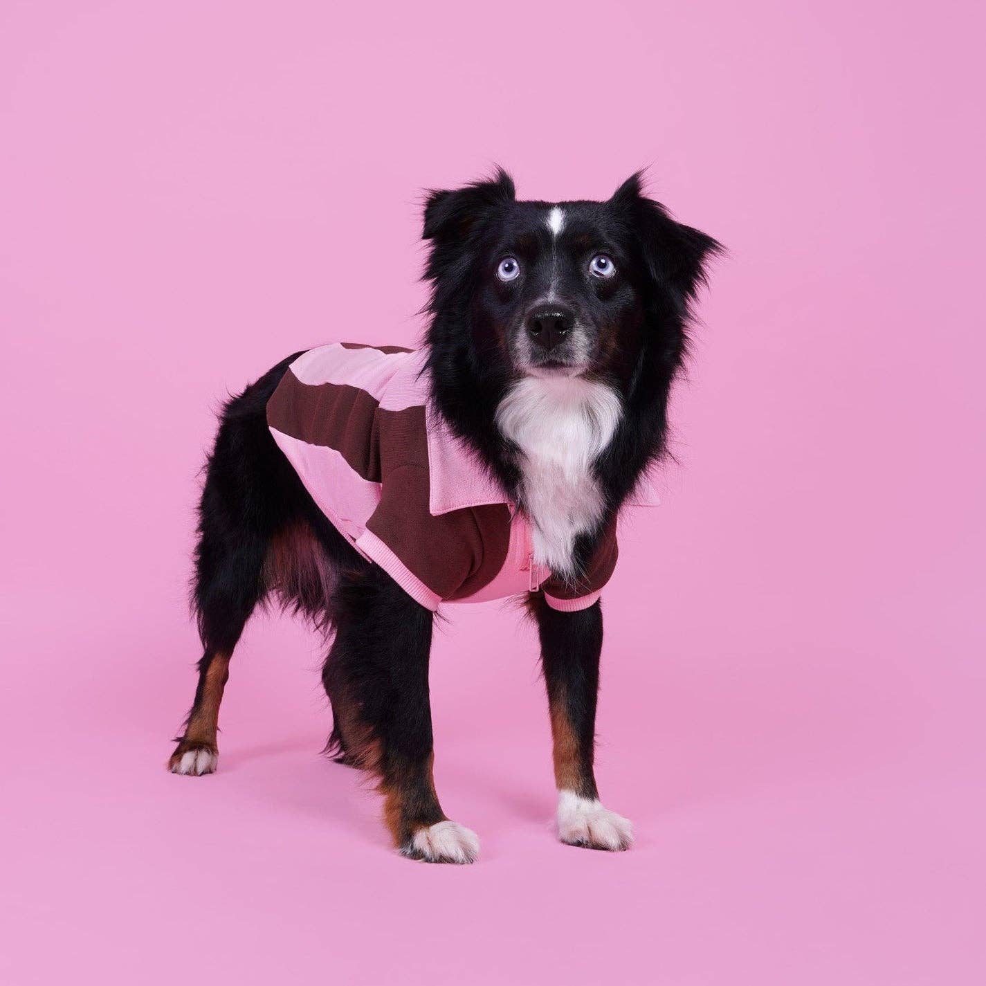 Sunbean - Wholesale Pet Sweater - Dog - Ziggy Cotton Dog Quarter-Zip Pullover1