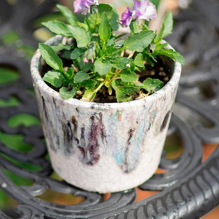 Rustic Reach - Wholesale Plant Pot - Colorful Terracotta Pot4