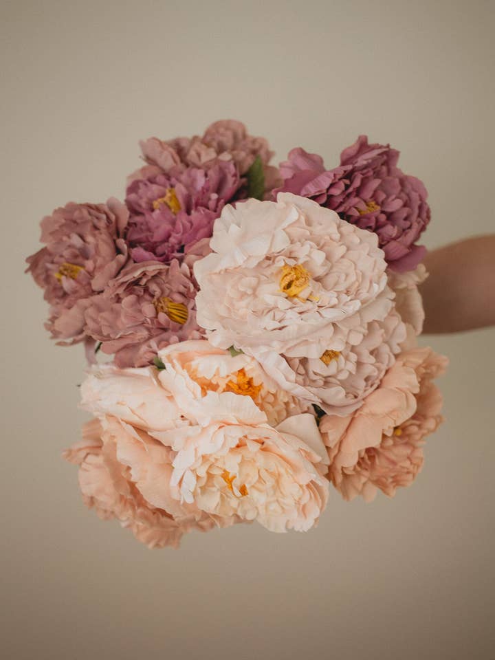 London Peony for wholesale by Eucalypt Co.