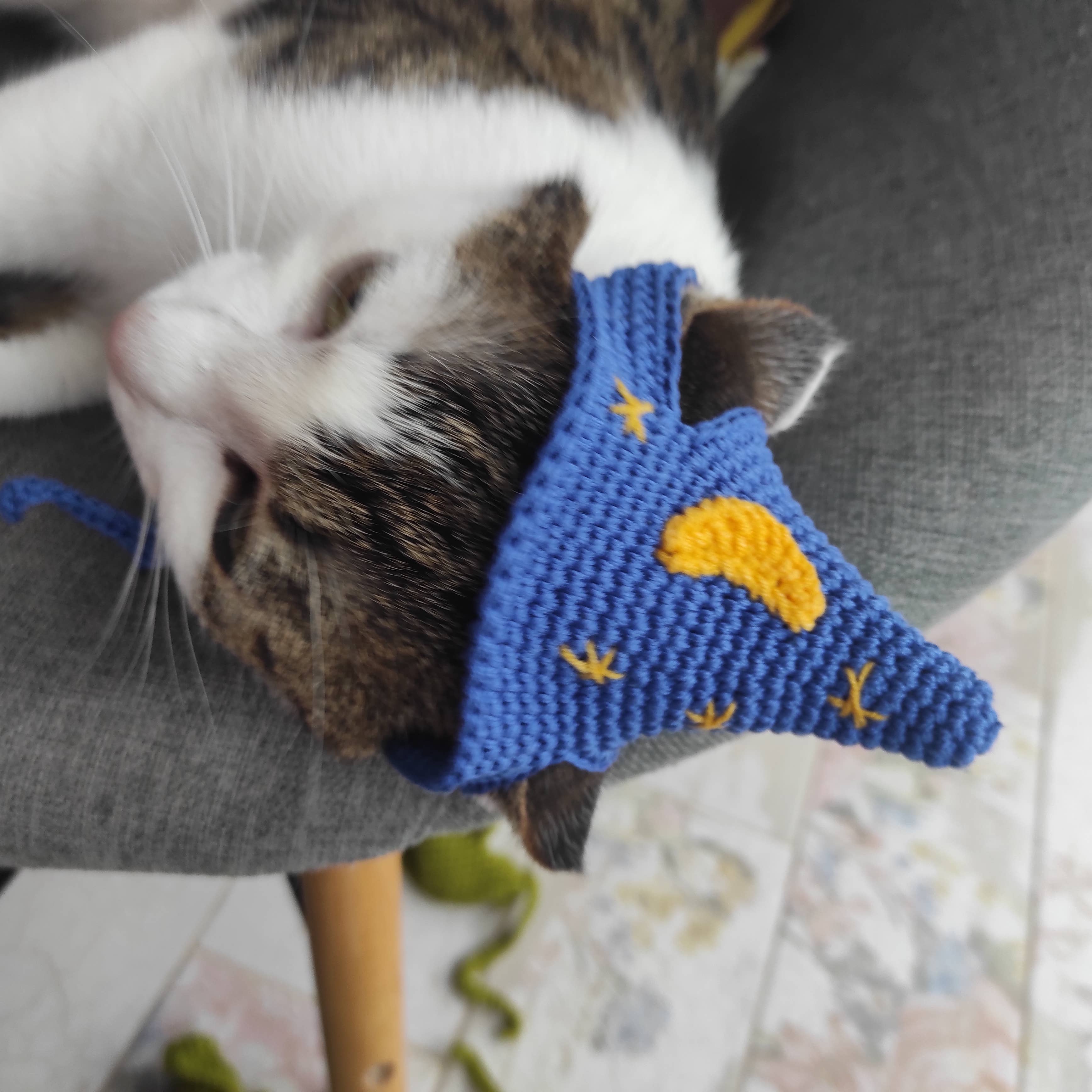 FairyBabyGifts – Engroshandel Kæledyrskostume – Kat – True Wizard kattehue Kæledyr Halloween-kostume Kattefotorekvisitter2