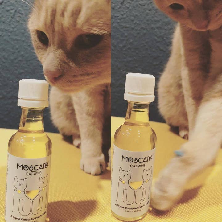 PetWineShop - Wholesale Catnip - PetWineShop Cat Wine MosCATo Liquid Catnip For Cats1