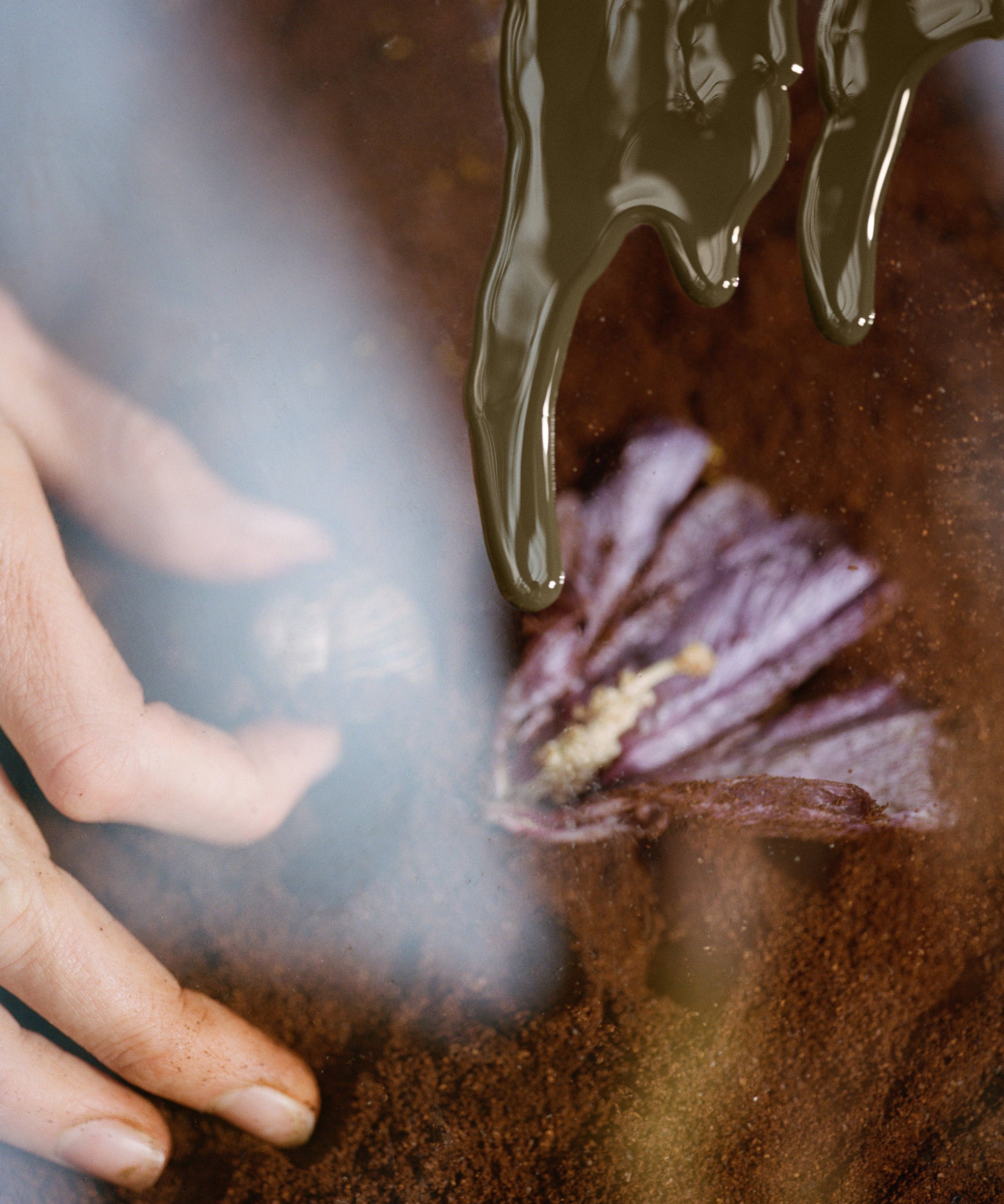 J.Hannah - Venta al por mayor Esmaltes de uñas - Compostador - Probador2