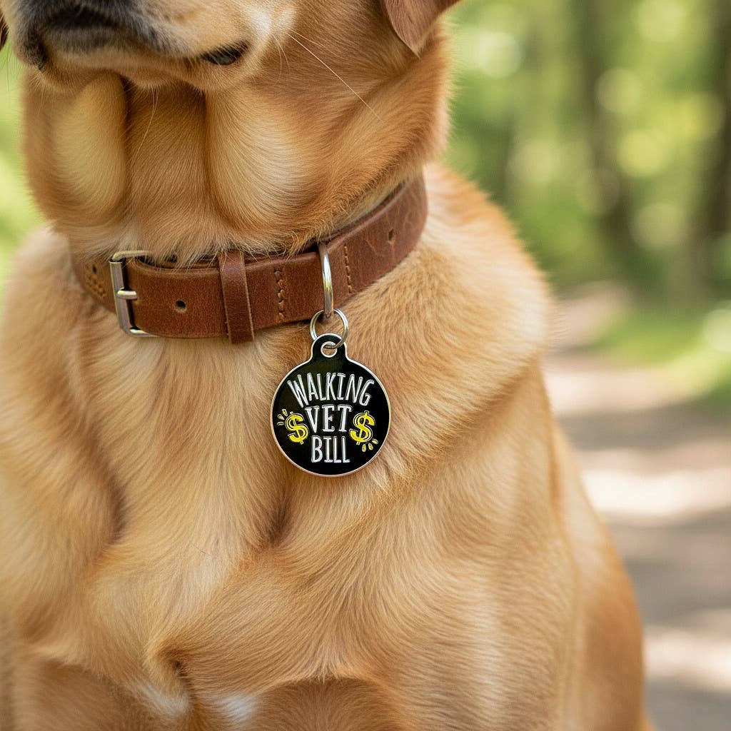 Bad Tags - Wholesale Pet Identification Tag - Cat/Dog - Dog ID Tag w/ Scannable QR Code - Walking Vet Bill7