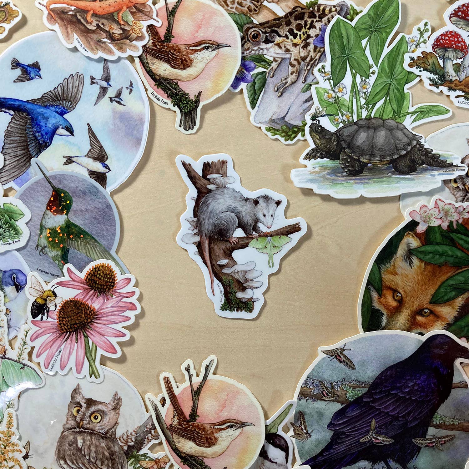 Lucinda Rowe Art - Wholesale Sticker - Sticker - Opossum with Luna Moth2