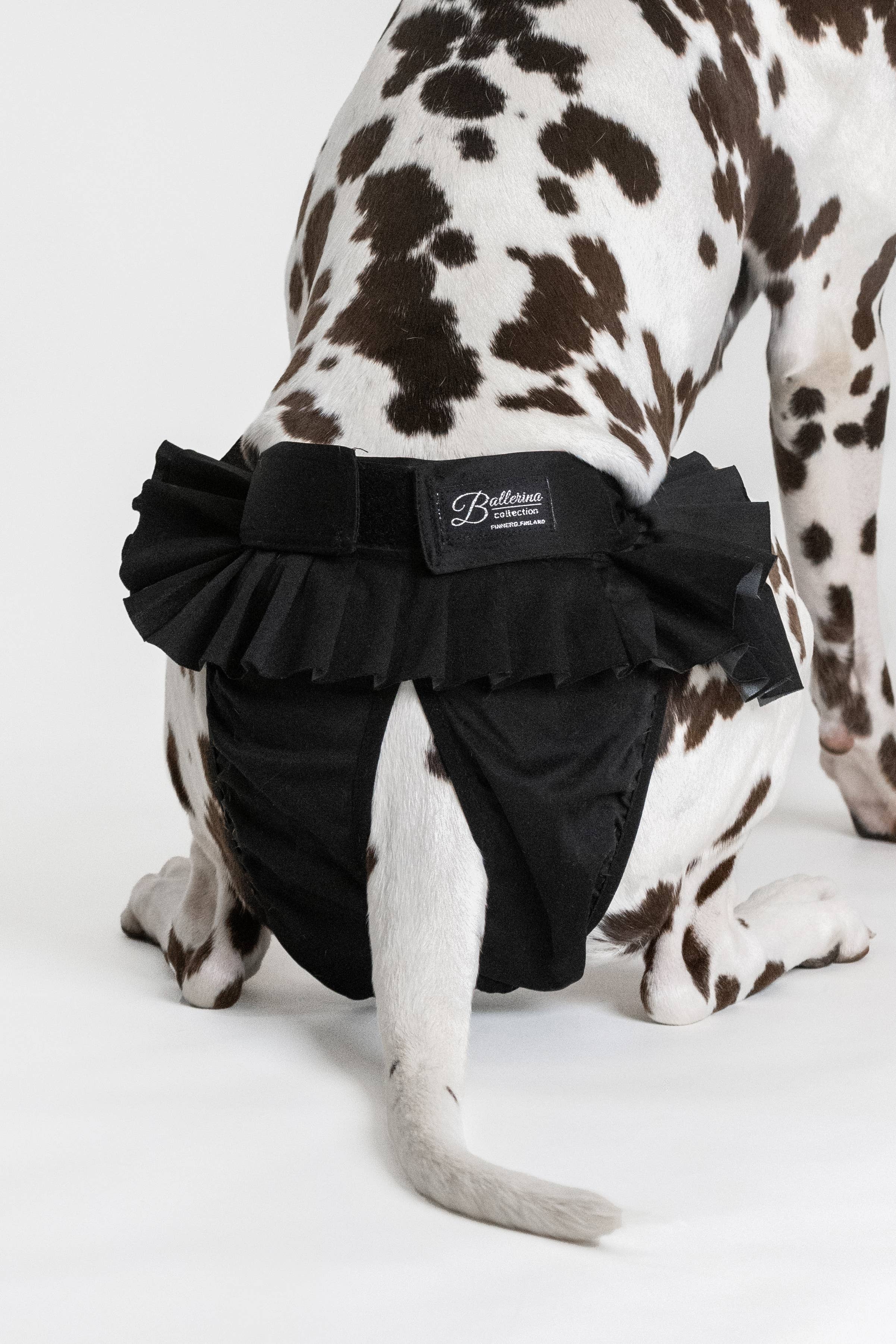 FINNERO – wholesale Husdjursblöja - Hund – FINNERO Ballerina hundhygienbyxor, 5 färger, tvättbara29