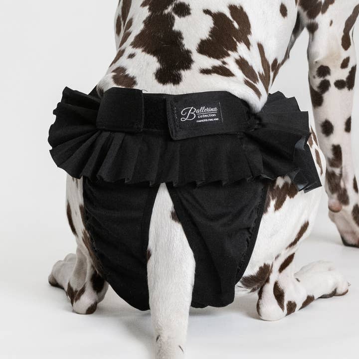 FINNERO – Engroshandel Bleer til kæledyr - Hund – FINNERO ballerina hundehygiejnebukser, 5 farver, vaskbare29