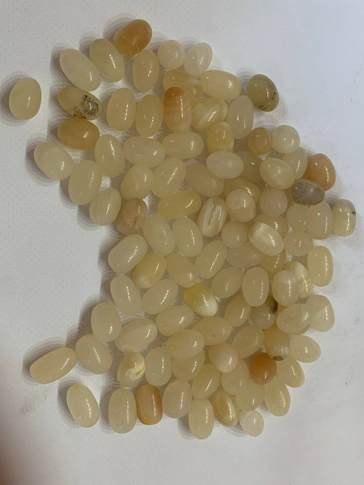 Light Honey Grape Seeds for wholesale by CapitalCrystals