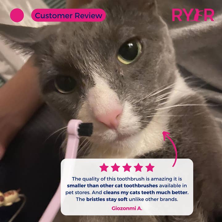 RYERCAT - Vente Brosse – chat et chien - Lot de brosses à dents à micro-tête et double face pour chat, couleurs mélangées !5
