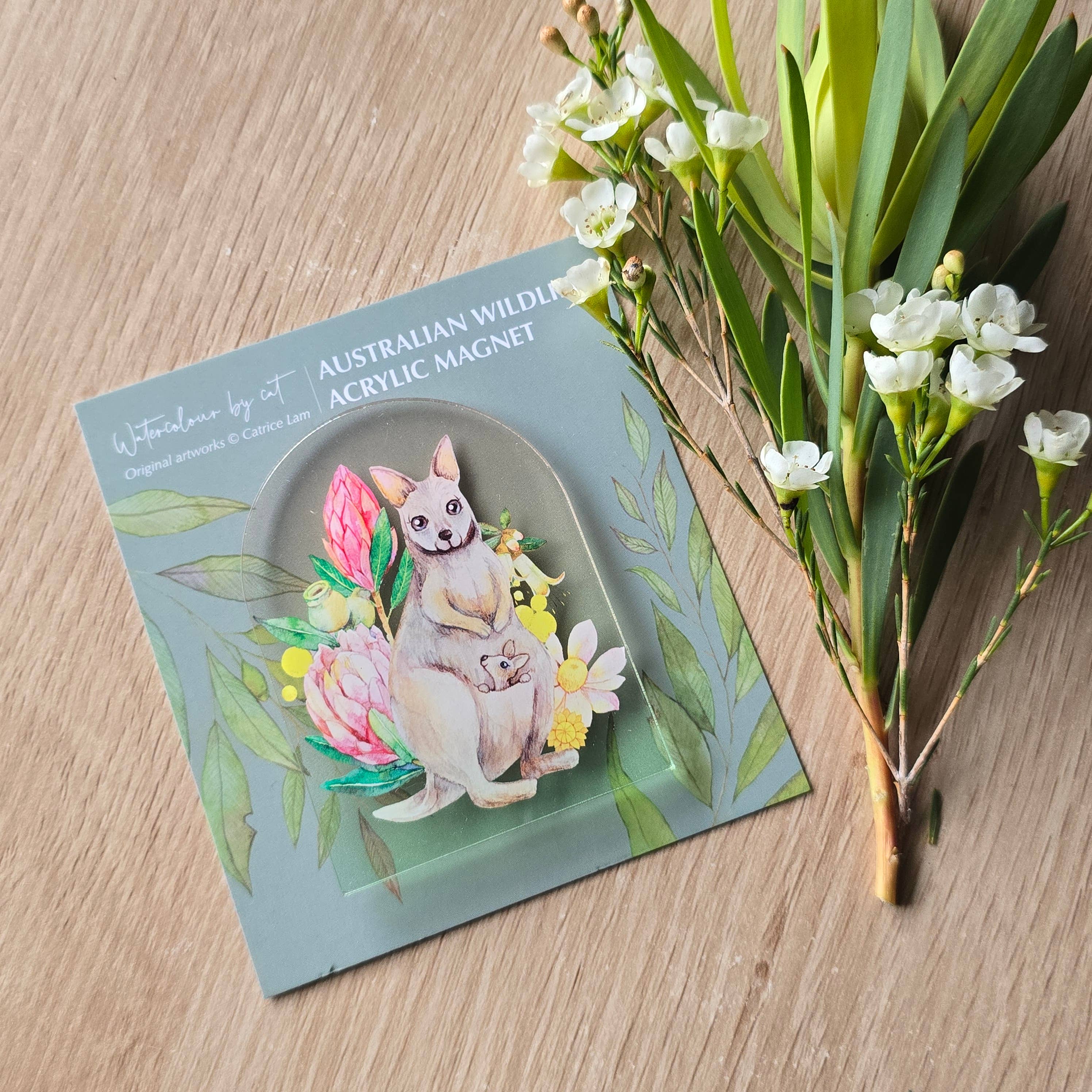 Watercolour By Cat - Wholesale Magnet - Australian Animals Kangaroo Magnet  2