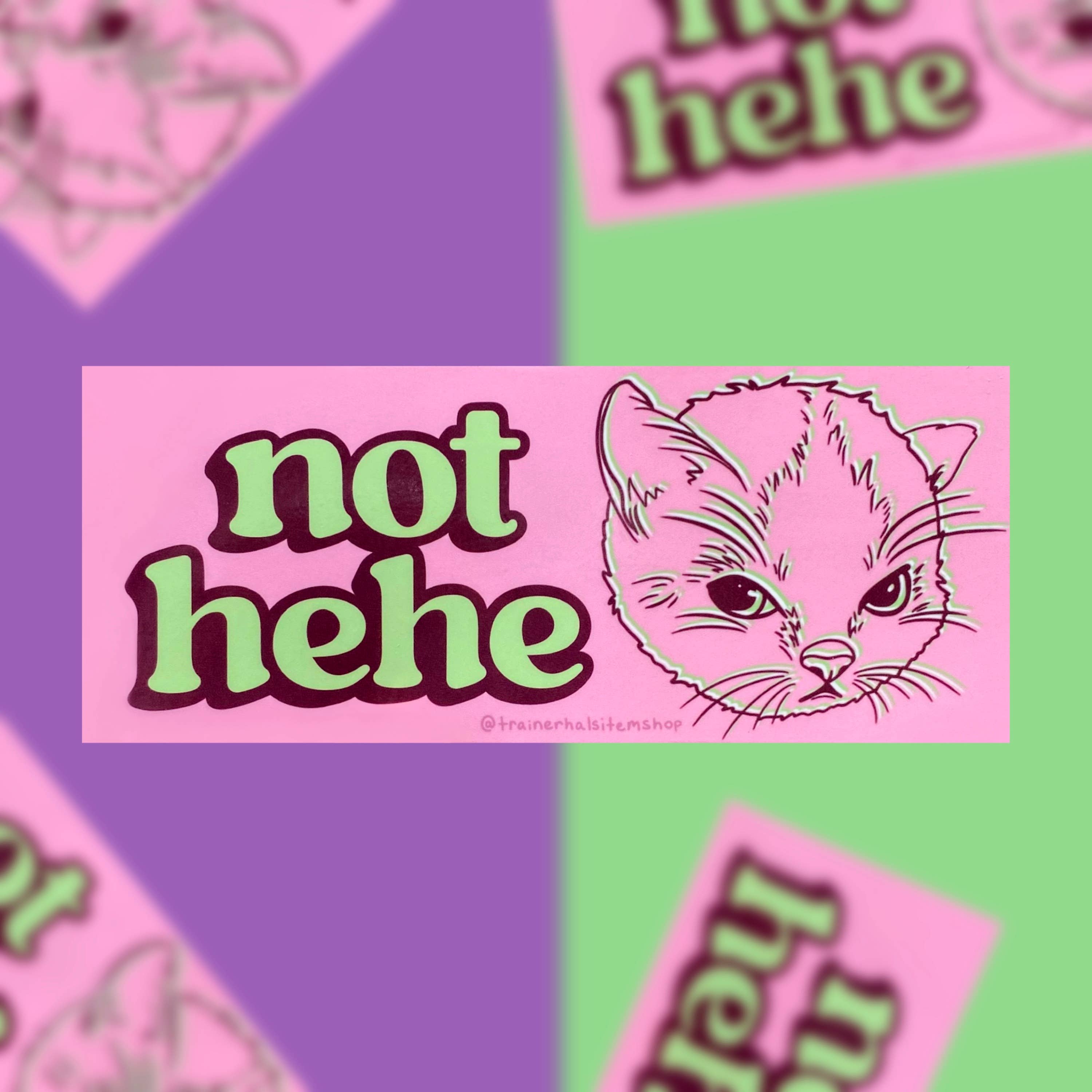 Trainer Hal’s Item Shop - Wholesale Sticker - Hehe Cat Meme Bumper Sticker | Grumpy Kitten Pink Y2K Decal2