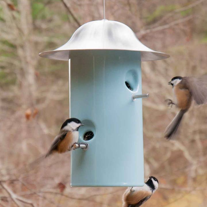 Mangeoires pour oiseaux de bistrot pour la vente par J Schatz Wonder-Certified Ceramic Products