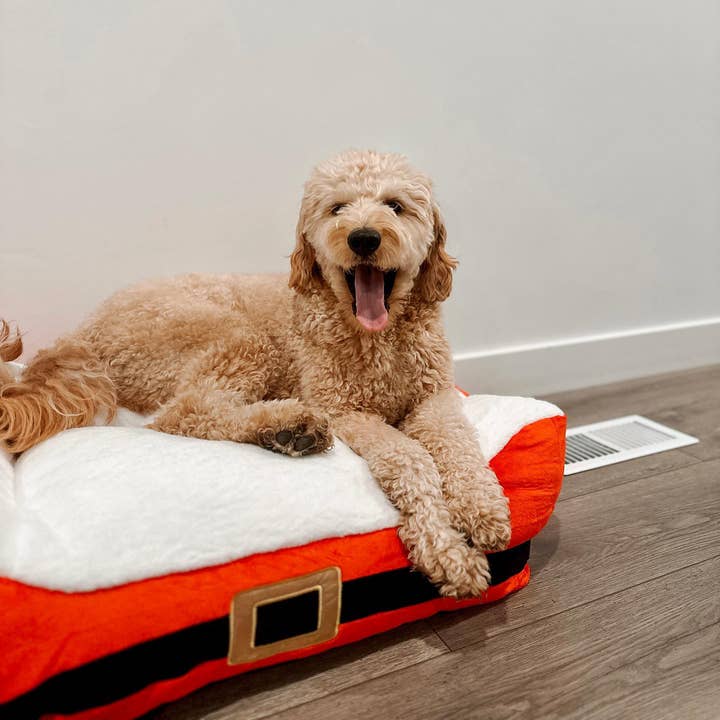 Midlee Designs - Wholesale Pet Bed - Dog - Midlee Santa's Belt Themed Pet Bed - One Size