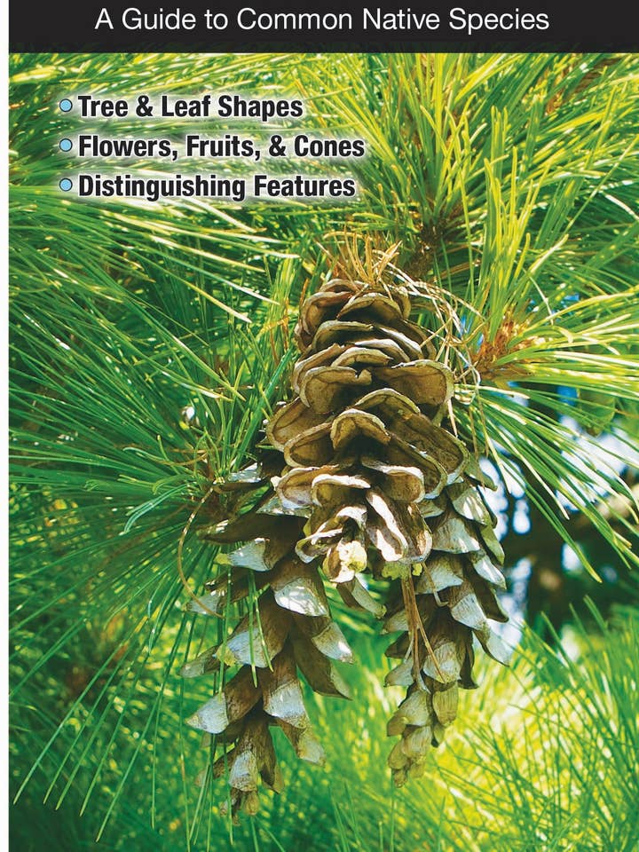 Trees of the Mid-Atlantic States for wholesale by Quick Reference Publishing, Inc