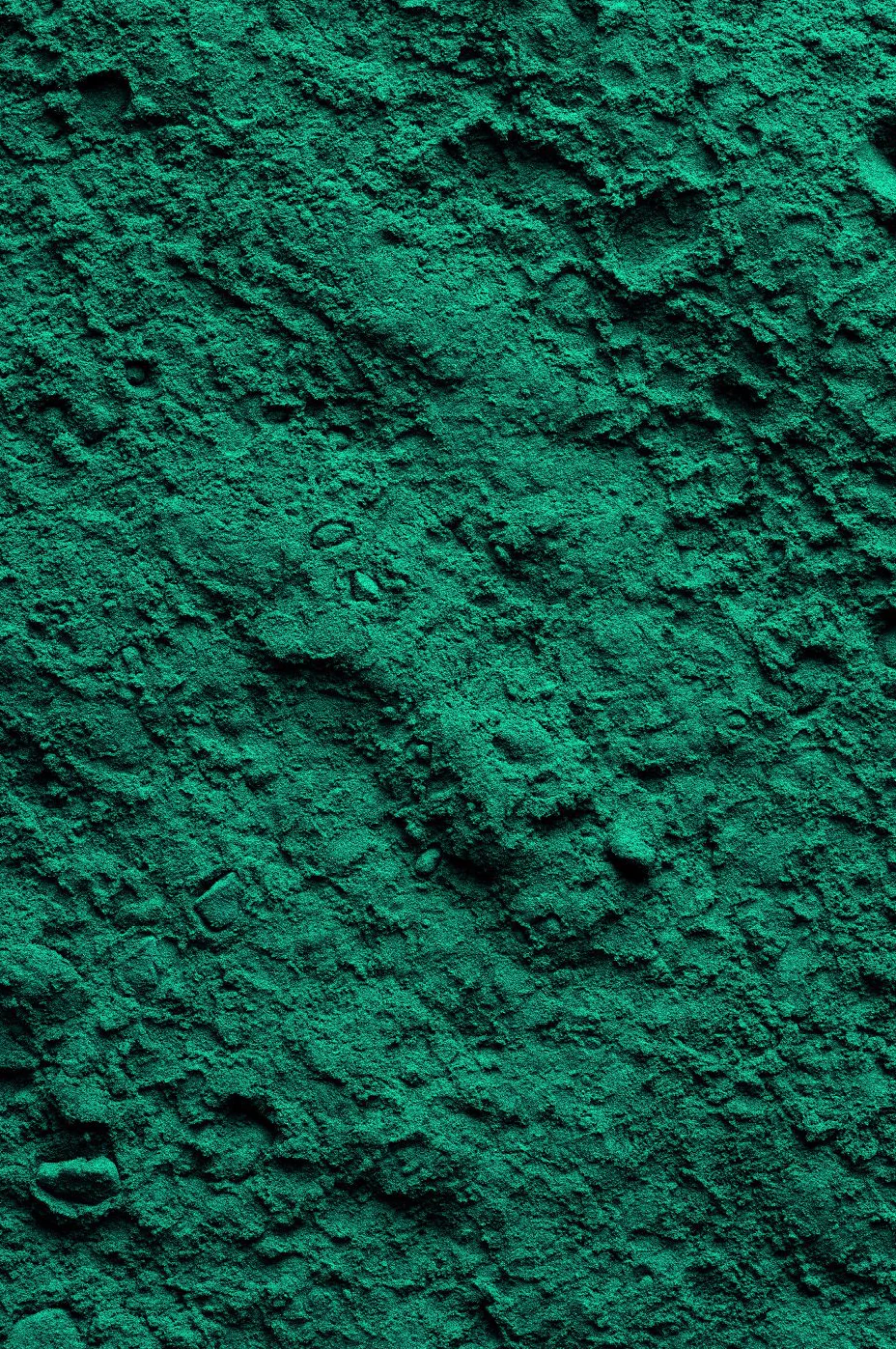 Vegalia - Vente Poudres protéinées/superaliments - Spiruline bio en poudre 100g1