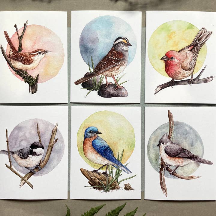 Notecard Set - 6 Backyard Birds On Blank Recycled Cards for wholesale by Lucinda Rowe Art