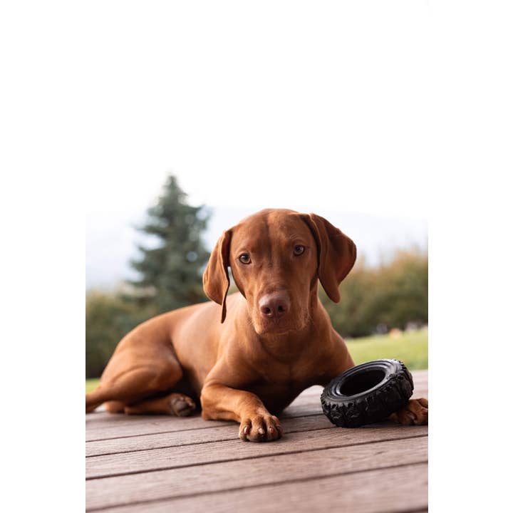 Spunky Pup - Vente Jouet à mâcher – chien - The Tire - Jouet en caoutchouc recyclé - FABRIQUÉ AUX ÉTATS-UNIS3
