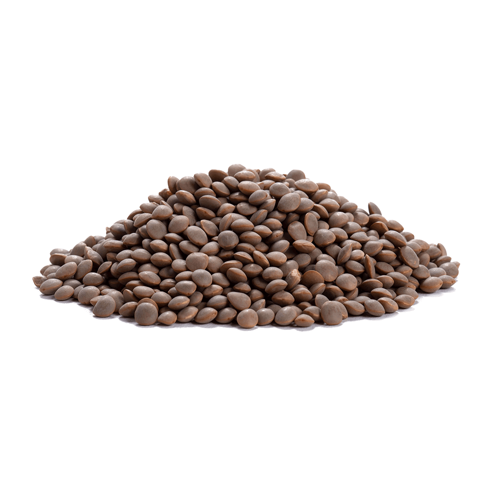 Aiva Products - Wholesale Beans - Aiva Masoor Matki or Masoor Whole Brown 4 lb0